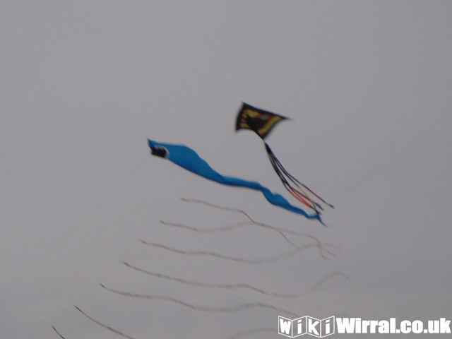 Attached picture Kite 5.jpg